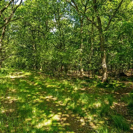 1 Bedroom In * Hampen